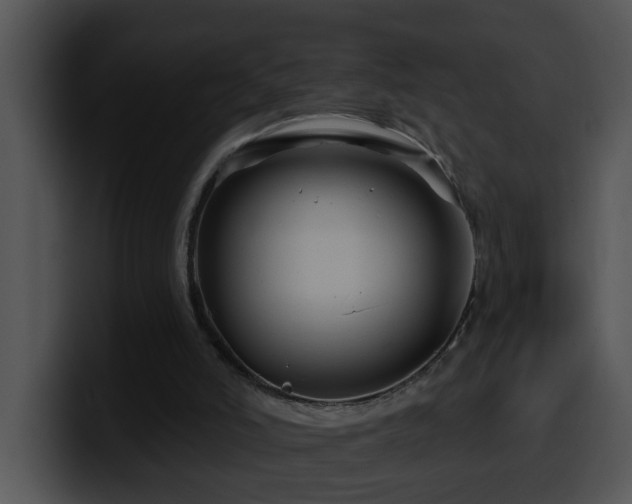 X0000100390006200806061304