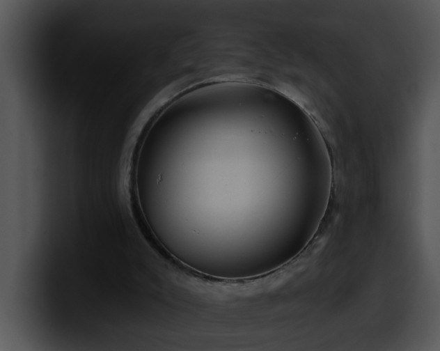 X0000100390007200806061304