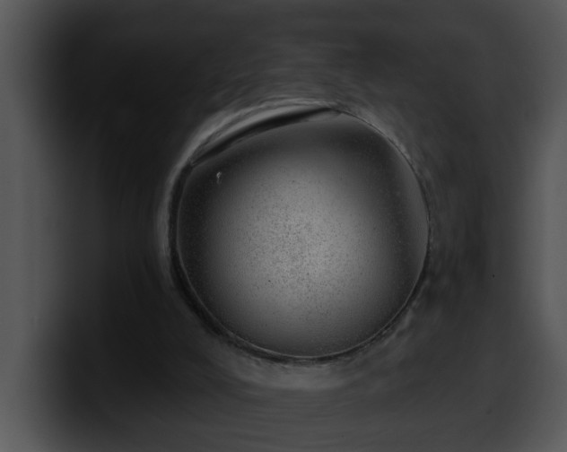 X0000100390008200806061304