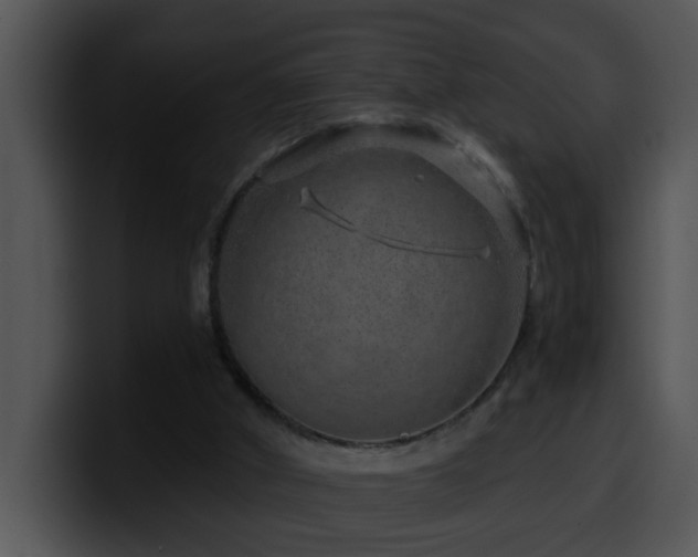 X0000100390010200806061304