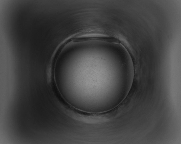 X0000100390012200806061304