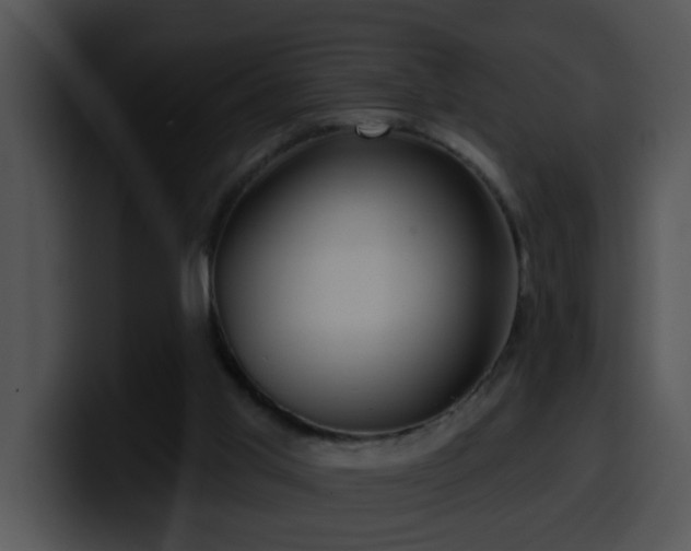 X0000100390013200806061304