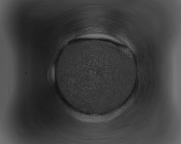 X0000100390014200806061304