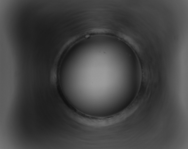 X0000100390015200806061304