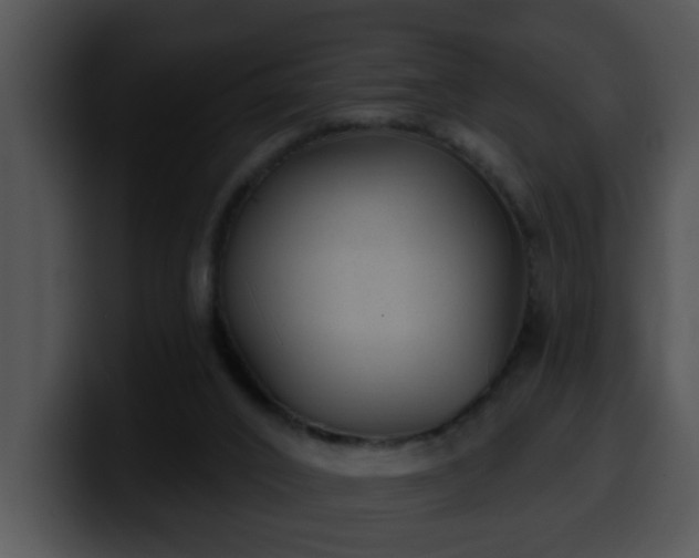 X0000100390016200806061304