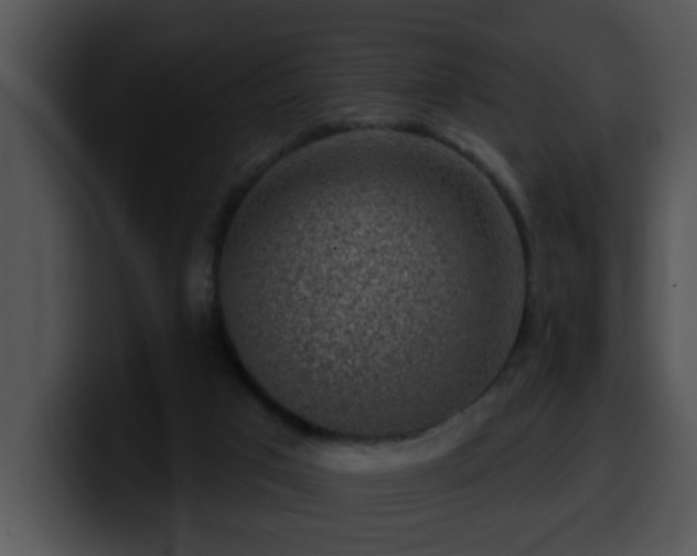 X0000100390017200806061304