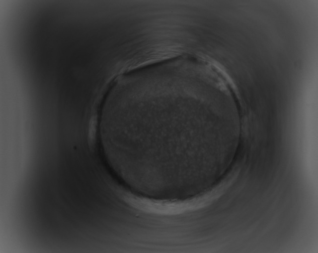 X0000100390018200806061304