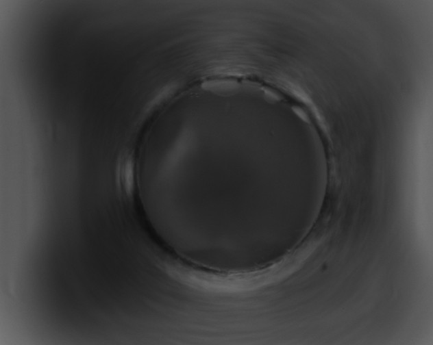 X0000100390019200806061304