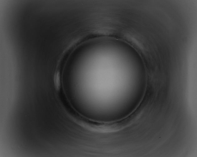 X0000100390020200806061304