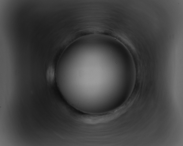 X0000100390021200806061304