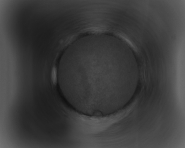 X0000100390022200806061304