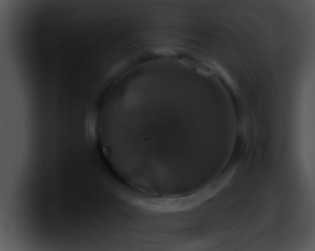 X0000100390023200806061304