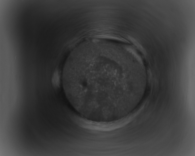 X0000100390026200806061304