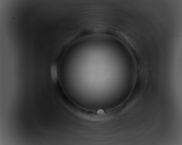 X0000100390028200806061304