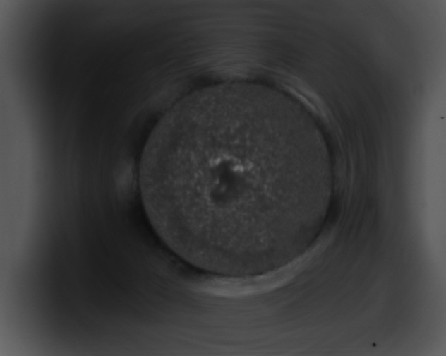 X0000100390029200806061304