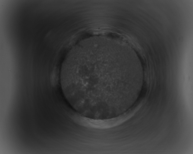 X0000100390030200806061304