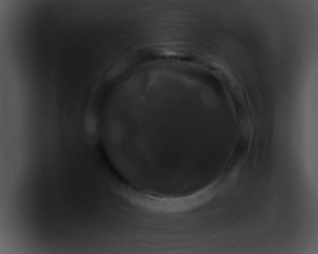 X0000100390031200806061304