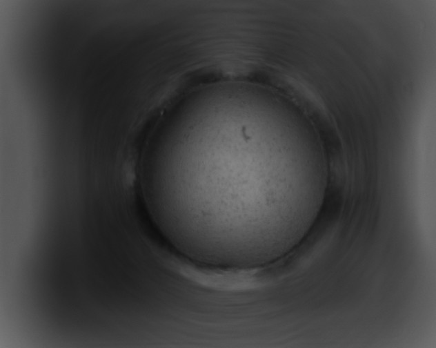 X0000100390032200806061304