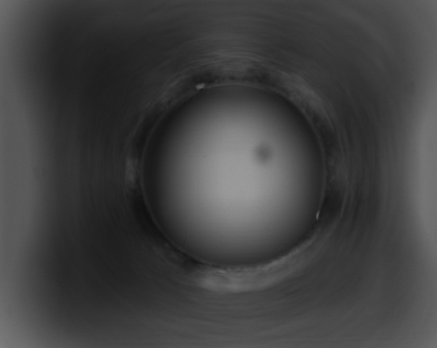 X0000100390033200806061304