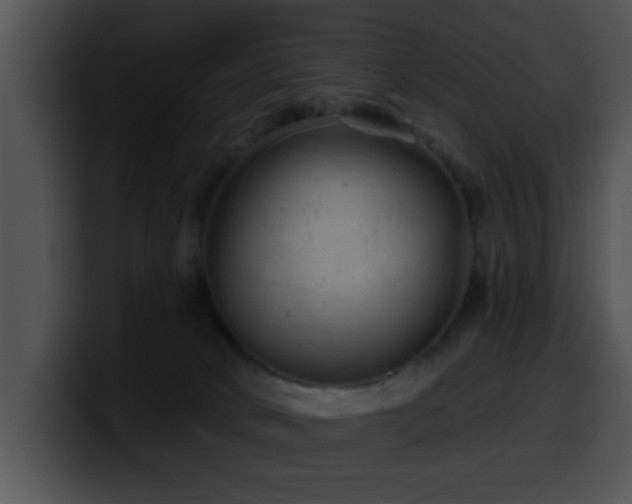 X0000100390034200806061304