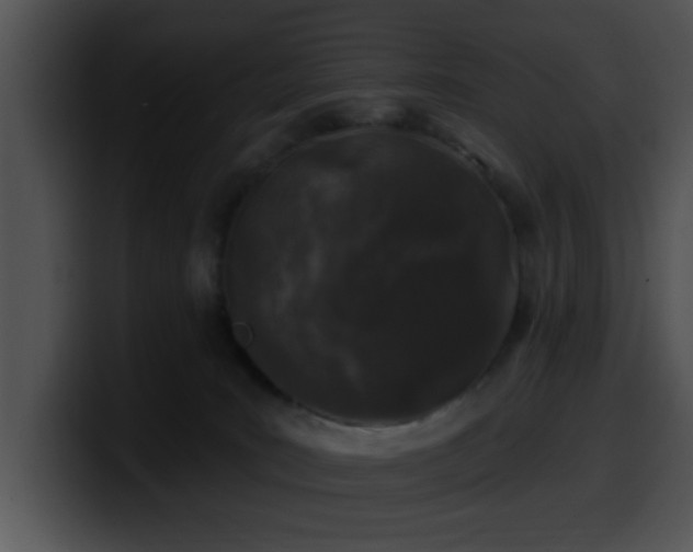 X0000100390035200806061304