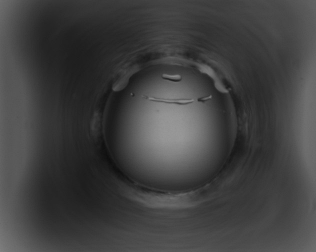 X0000100390036200806061304