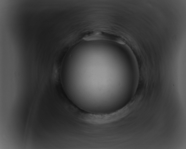 X0000100390037200806061304