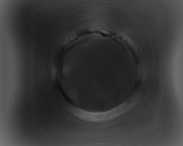 X0000100390039200806061304