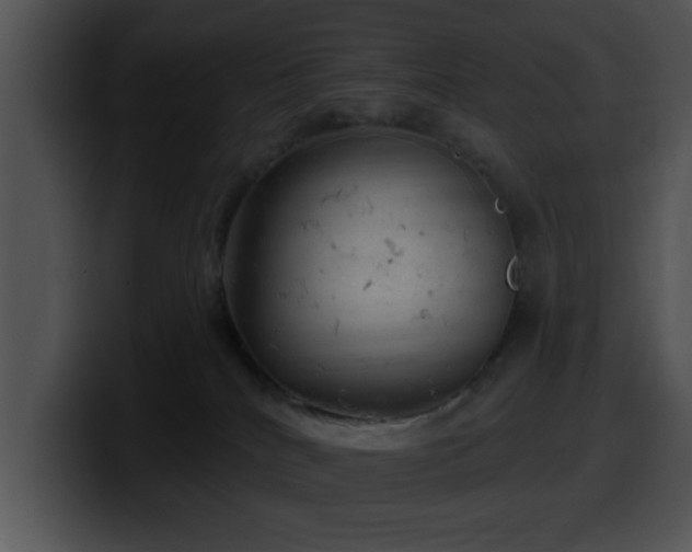 X0000100390040200806061304