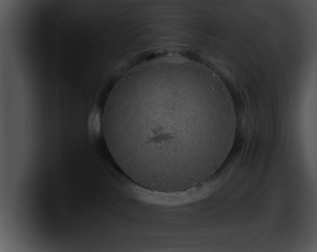 X0000100390042200806061304