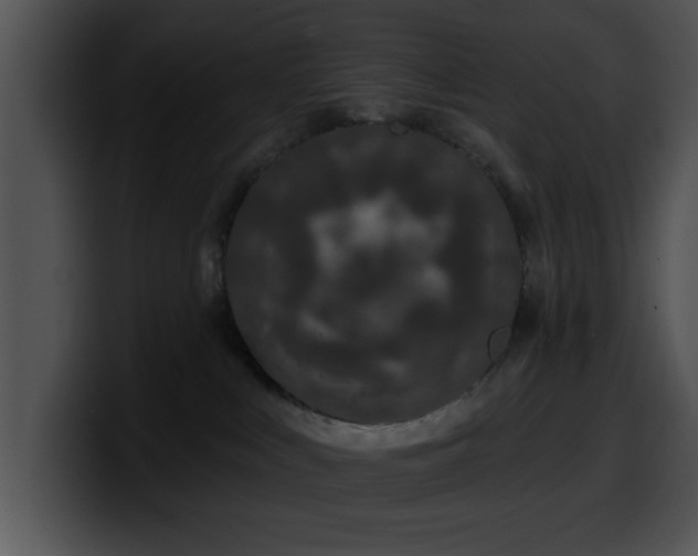 X0000100390043200806061304