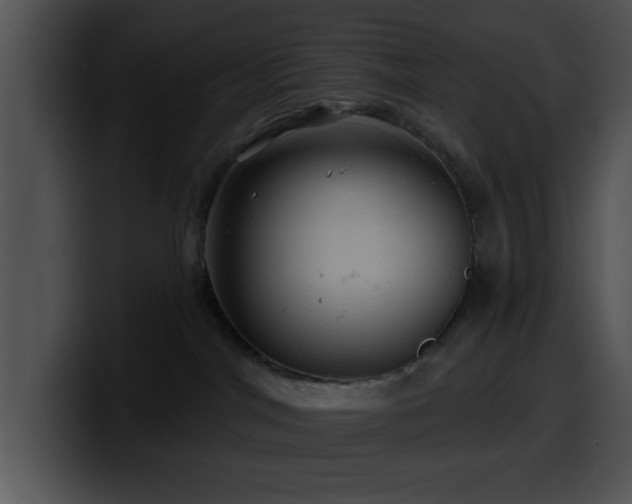 X0000100390044200806061304