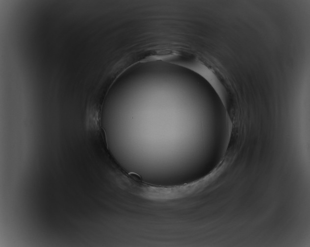 X0000100390045200806061304