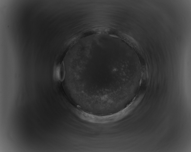 X0000100390047200806061304