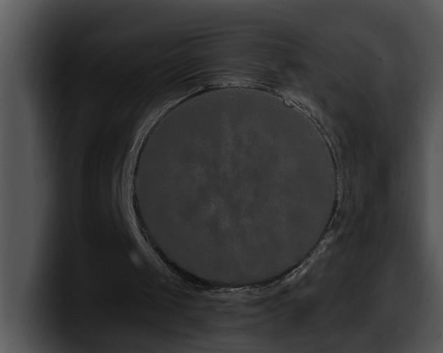 X0000100390049200806061303