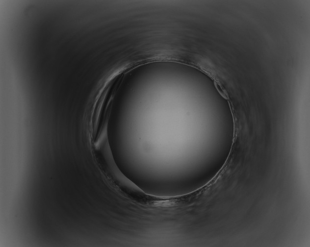 X0000100390050200806061303