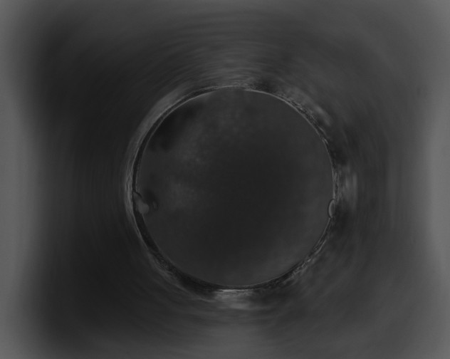 X0000100390051200806061303