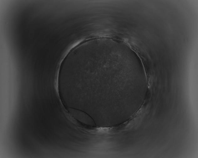 X0000100390052200806061303