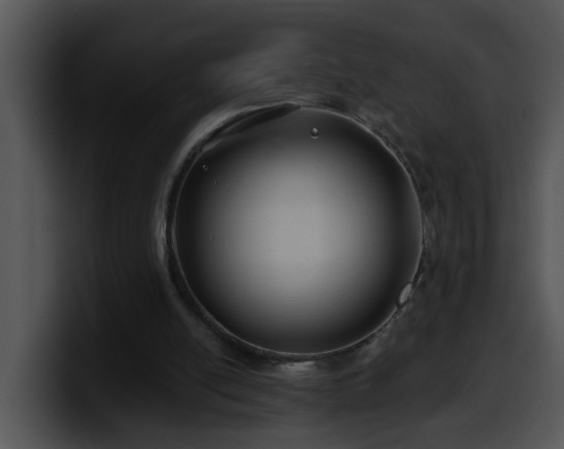 X0000100390054200806061303