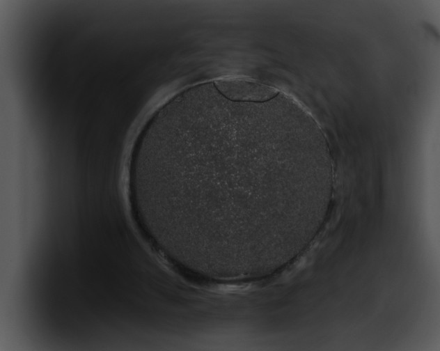 X0000100390055200806061303