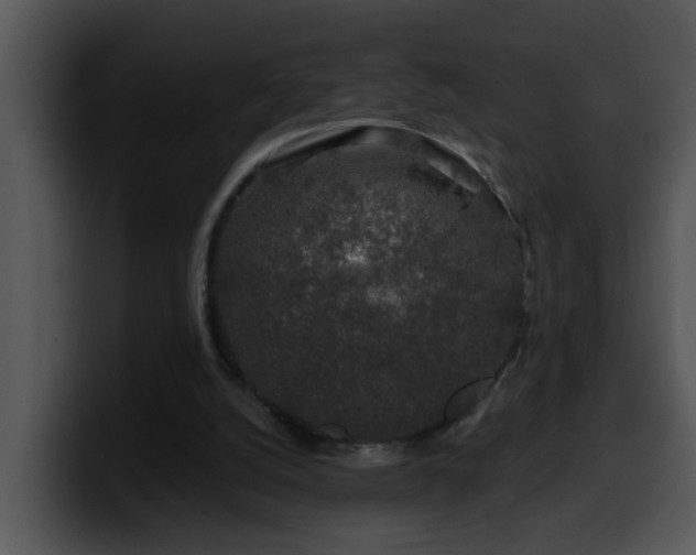 X0000100390056200806061303