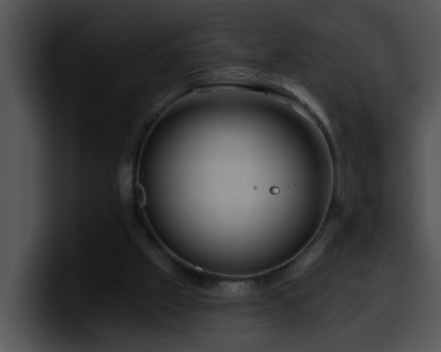 X0000100390057200806061303