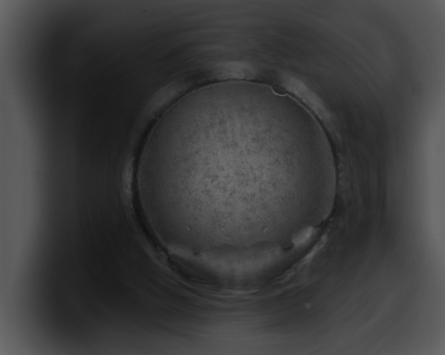 X0000100390058200806061303