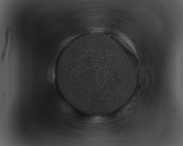 X0000100390059200806061303