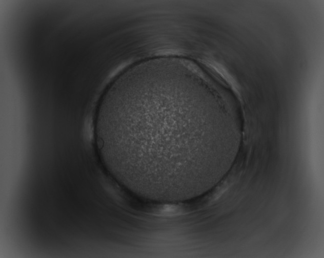 X0000100390060200806061303