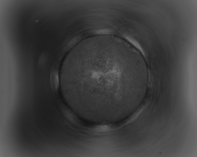 X0000100390061200806061303