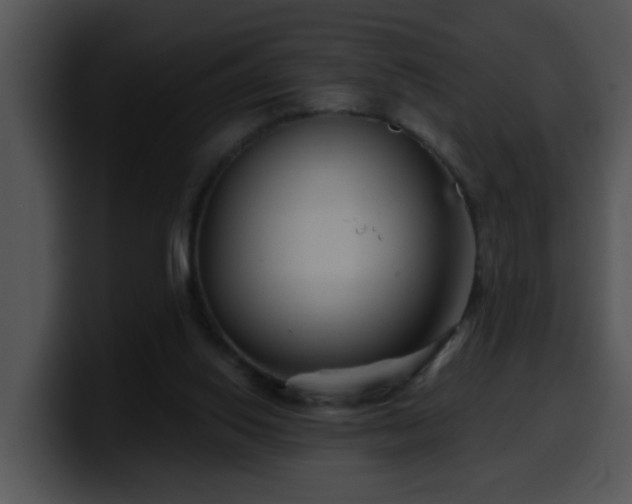 X0000100390062200806061303