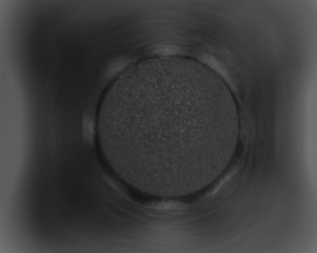 X0000100390063200806061303