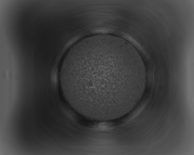 X0000100390064200806061303