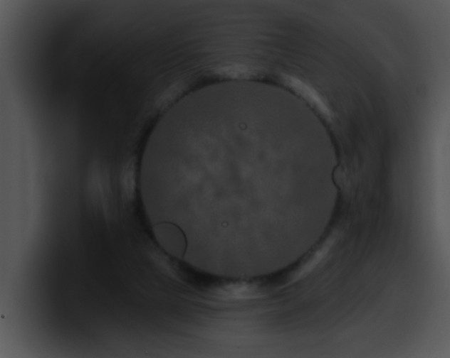 X0000100390065200806061303